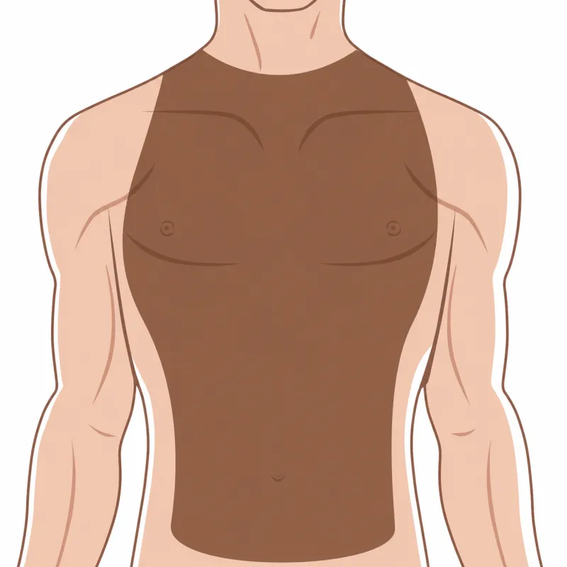 pecho abdomen