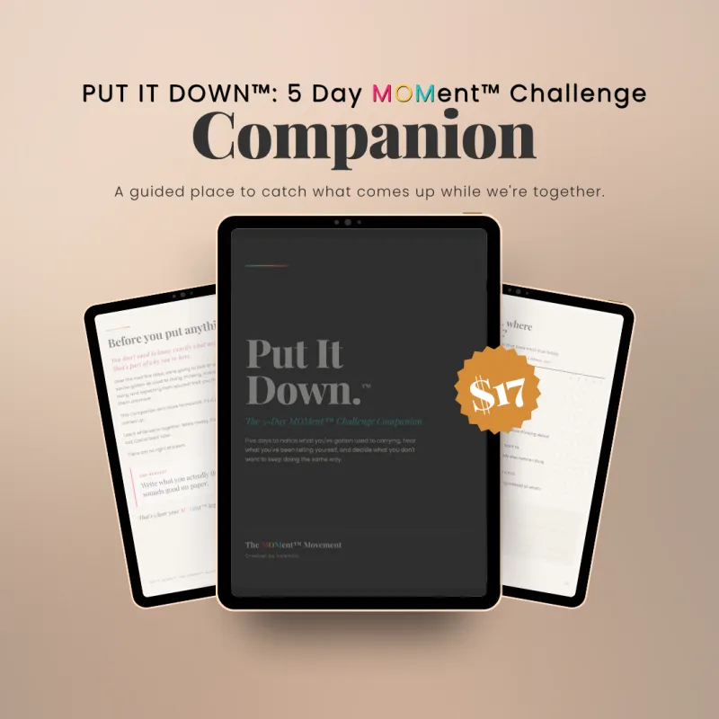 PUT IT DOWN Challenge Companion