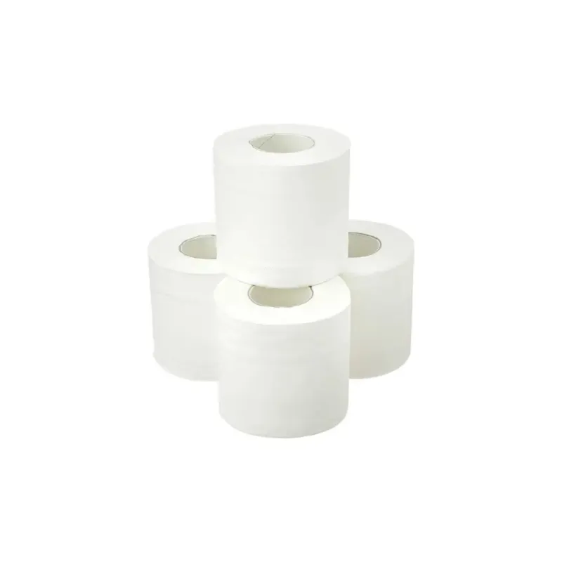 Toilet Paper (4 pack)