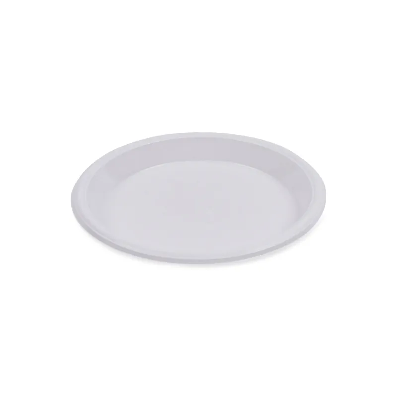 Plastic Plate