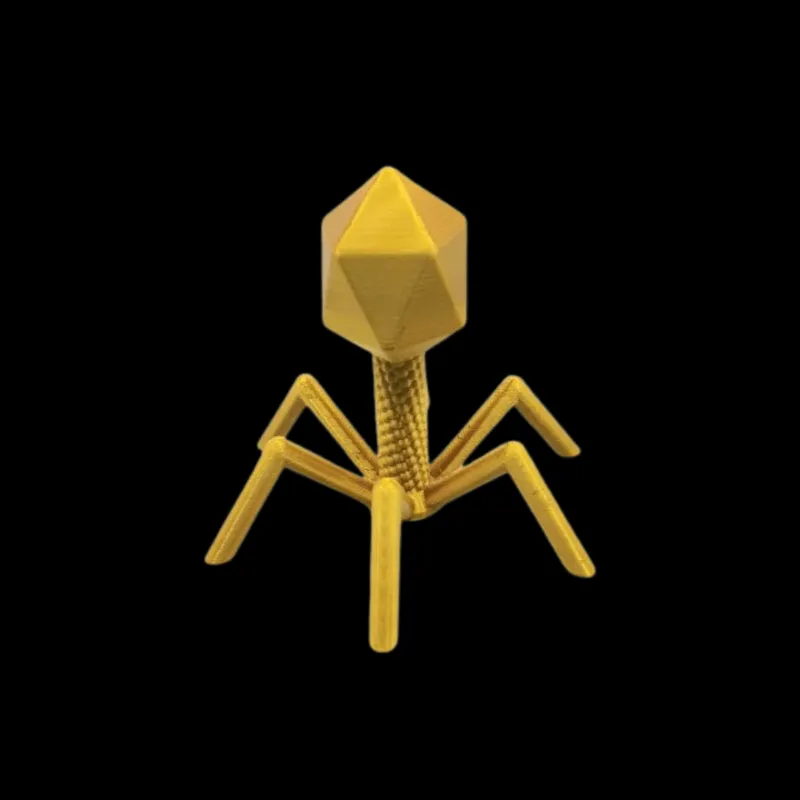 Golden Bacteriophage