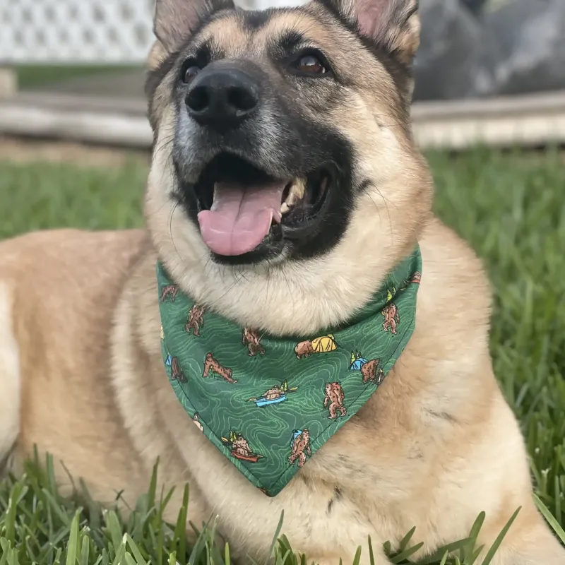 The Adventurer Sasquatch Dog Bandana with Snaps