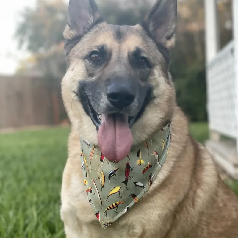 Gone Fishing Dog Bandana with Snaps