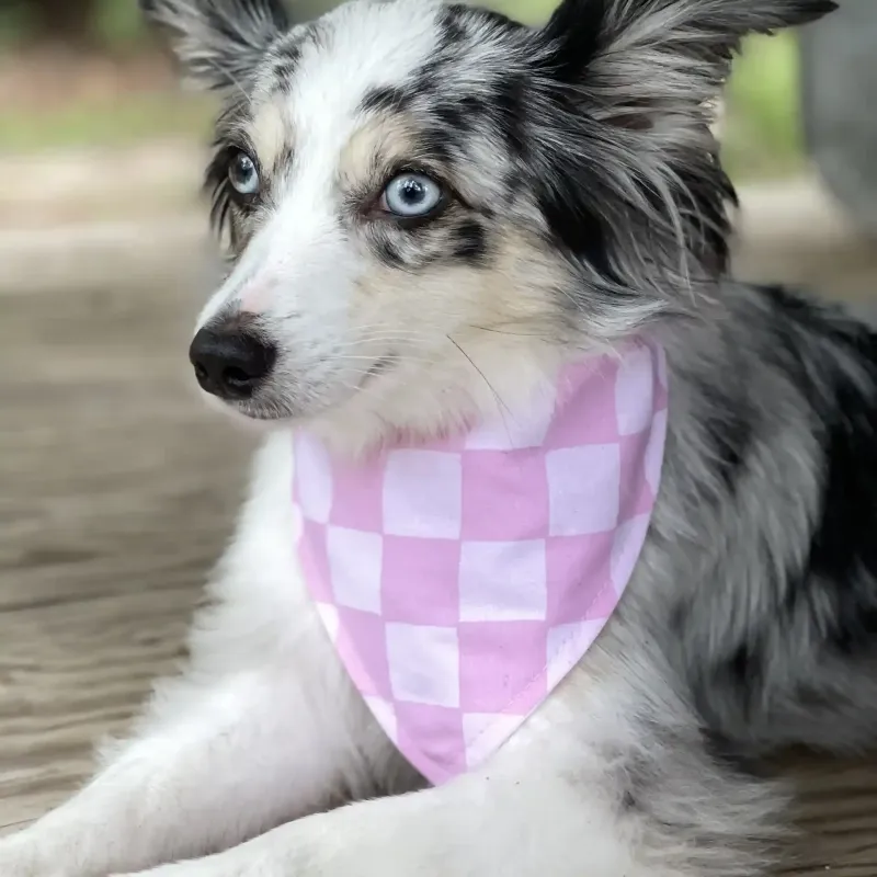 Pink Checkered Dog Bandana With Snaps