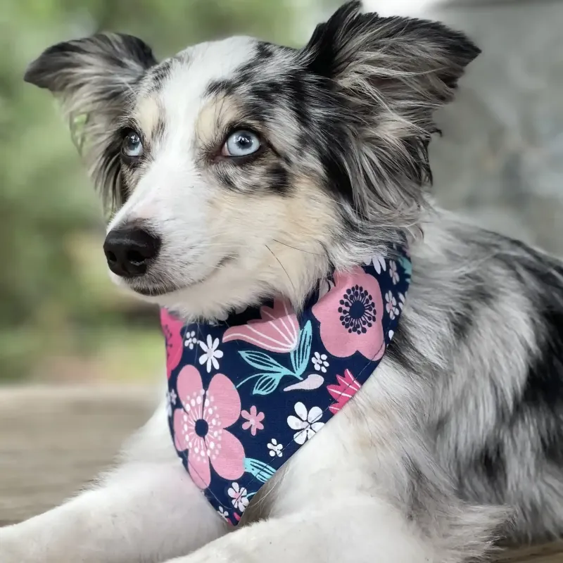 Floral Dreams Dog Bandana With Snaps