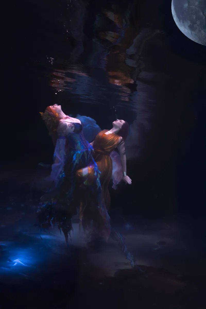 Moonlit Reverie