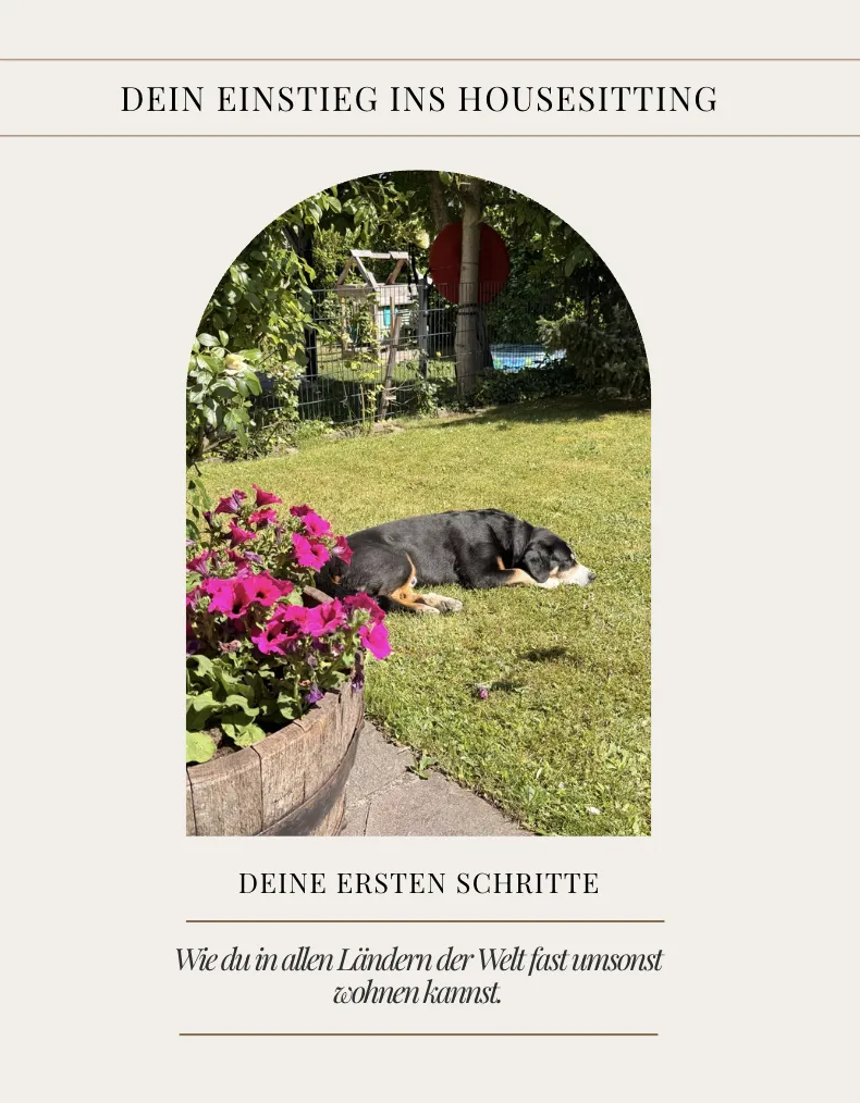 Dein Einstieg ins Housesitting