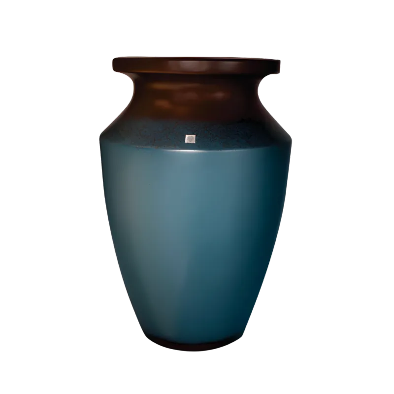 Vaso Aruana