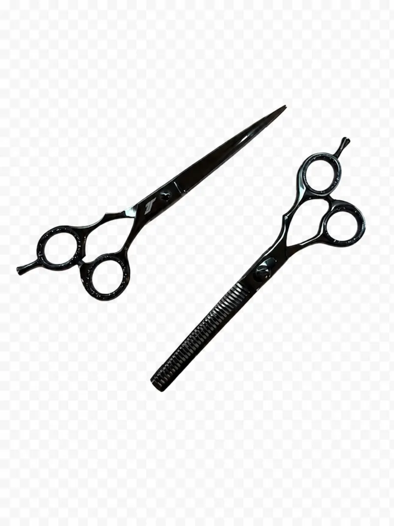 4-Inch Professional Hair Scissors and Texturizer Set