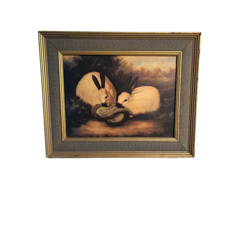 Charming Framed Rabbit Painting