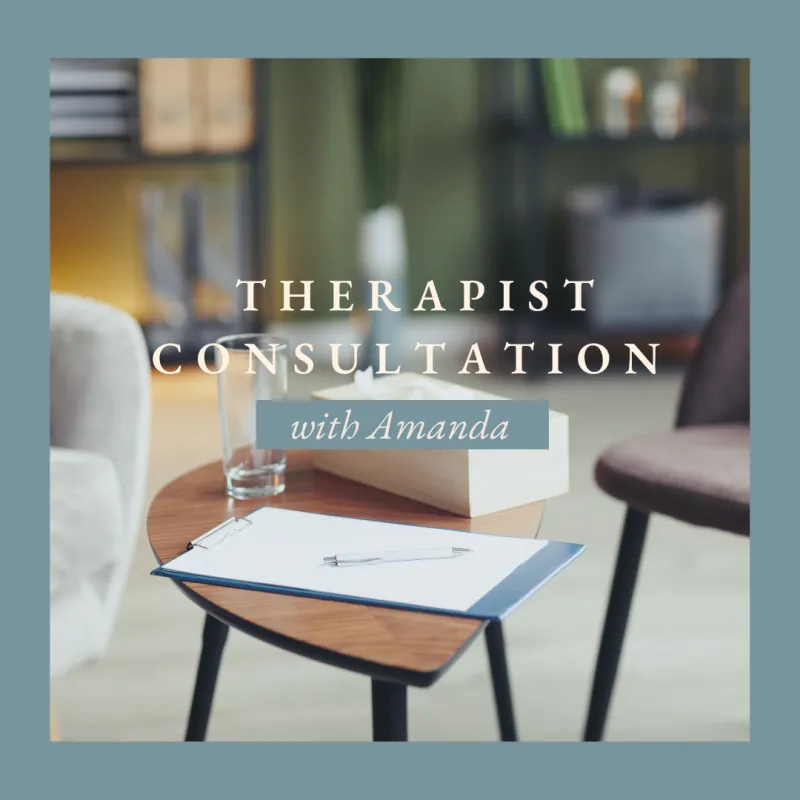 Therapist Consultation Package (2-Session Intensive)--2 installments