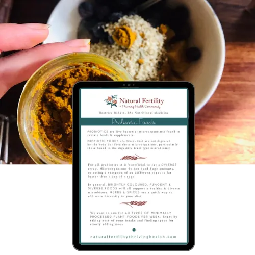 Prebiotic Foods Guide (USD)