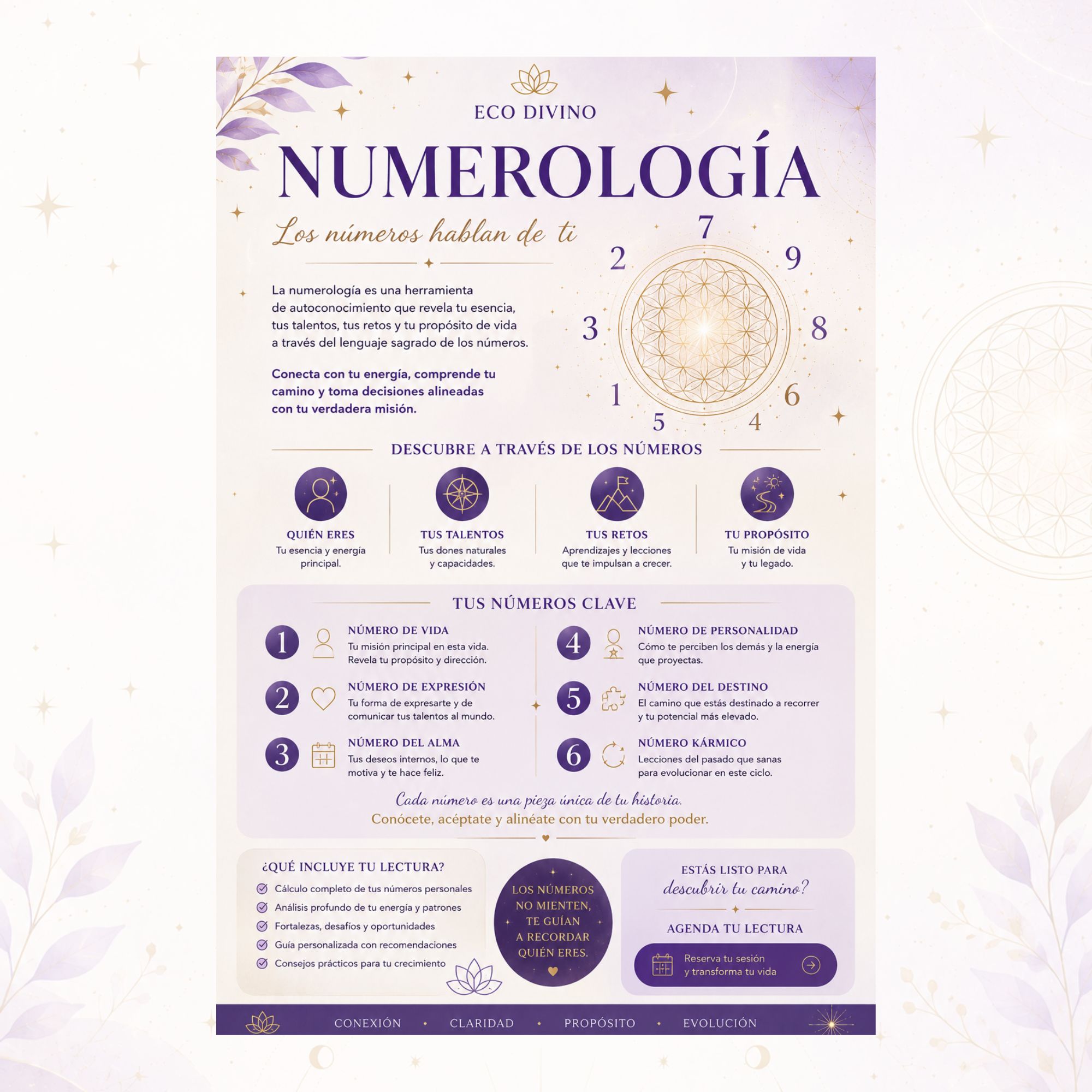 Manual Personalizado de Alquimia Natal y Numerología