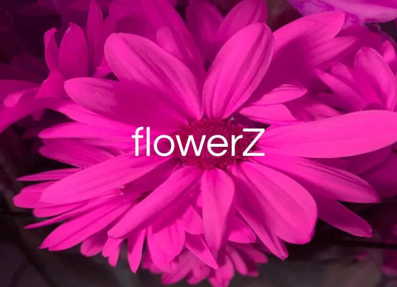 FlowerZ