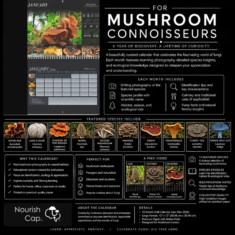2026 Mushrooms of North America