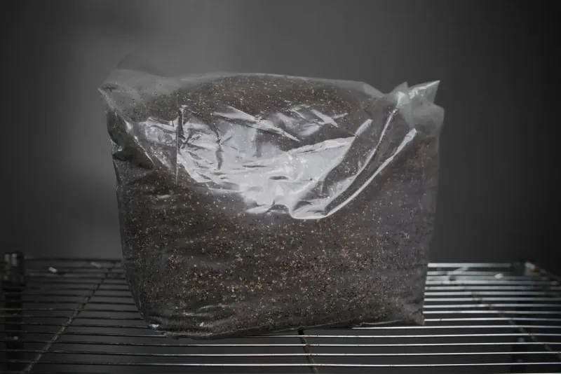 Shroomsquatch: Pasteurized Coco Coir, Vermiculite, Gypsum Substrate