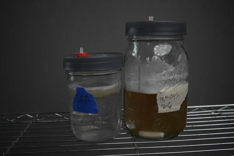 Shroomsquatch: Liquid Culture