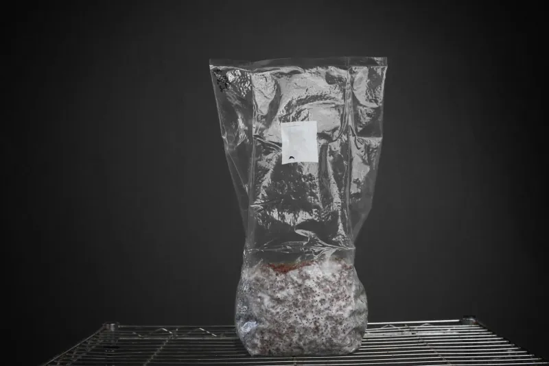 Shroomsquatch: Grain Spawn 3lb 