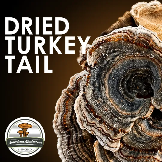 American Mushroom & Spice: Dried Turkey Tail 