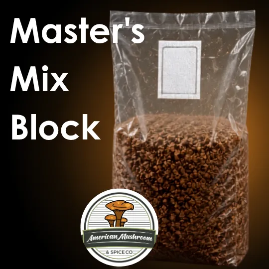 American Mushroom & Spice: Master's Mix Block