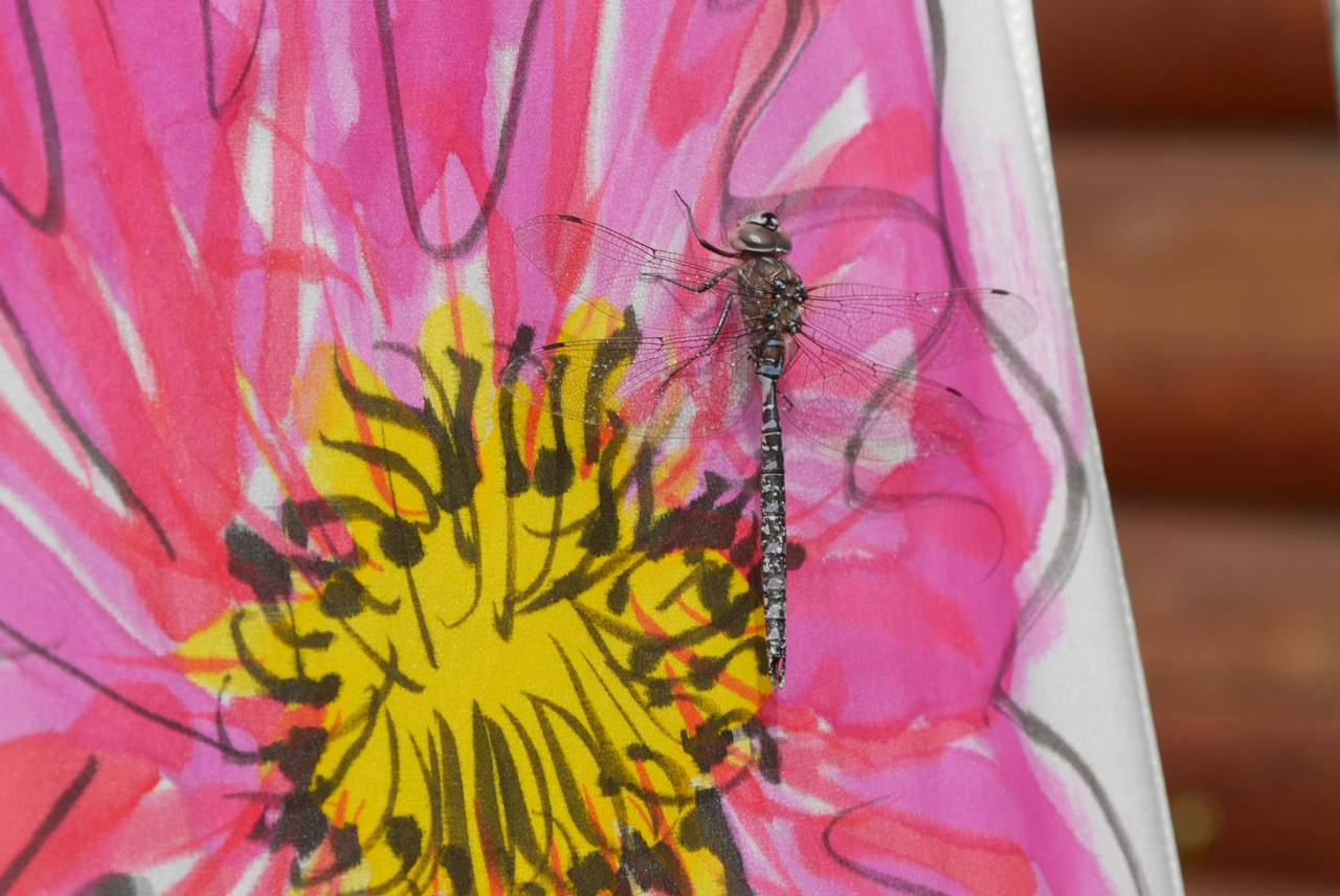 Paint A Scarf, July 18-19, MatSu Fiber Festival