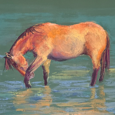 Riverdance: Salt River Wild Horses