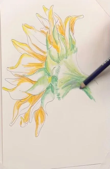 Drawing Simple Flowers