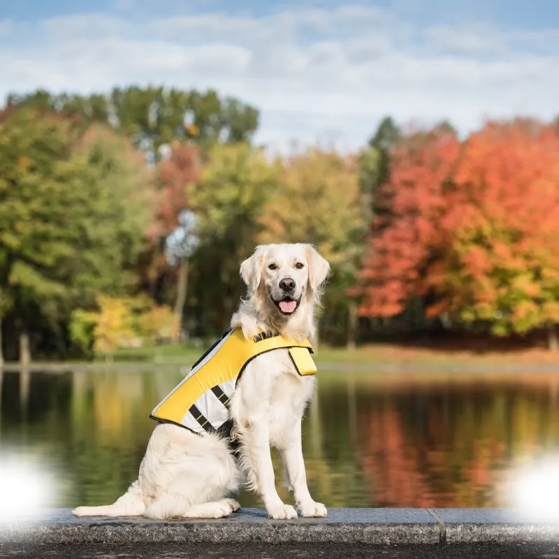 GF Pet Dog Life Vest Рятувальний жилет для собак