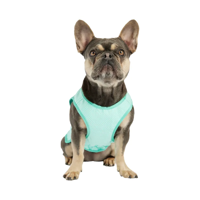 GF Pet Ice Vest Охолоджувальний жилет для собак
