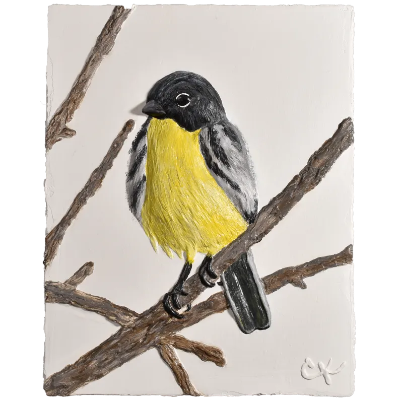 Kirtland's Warbler (11” x 14”)