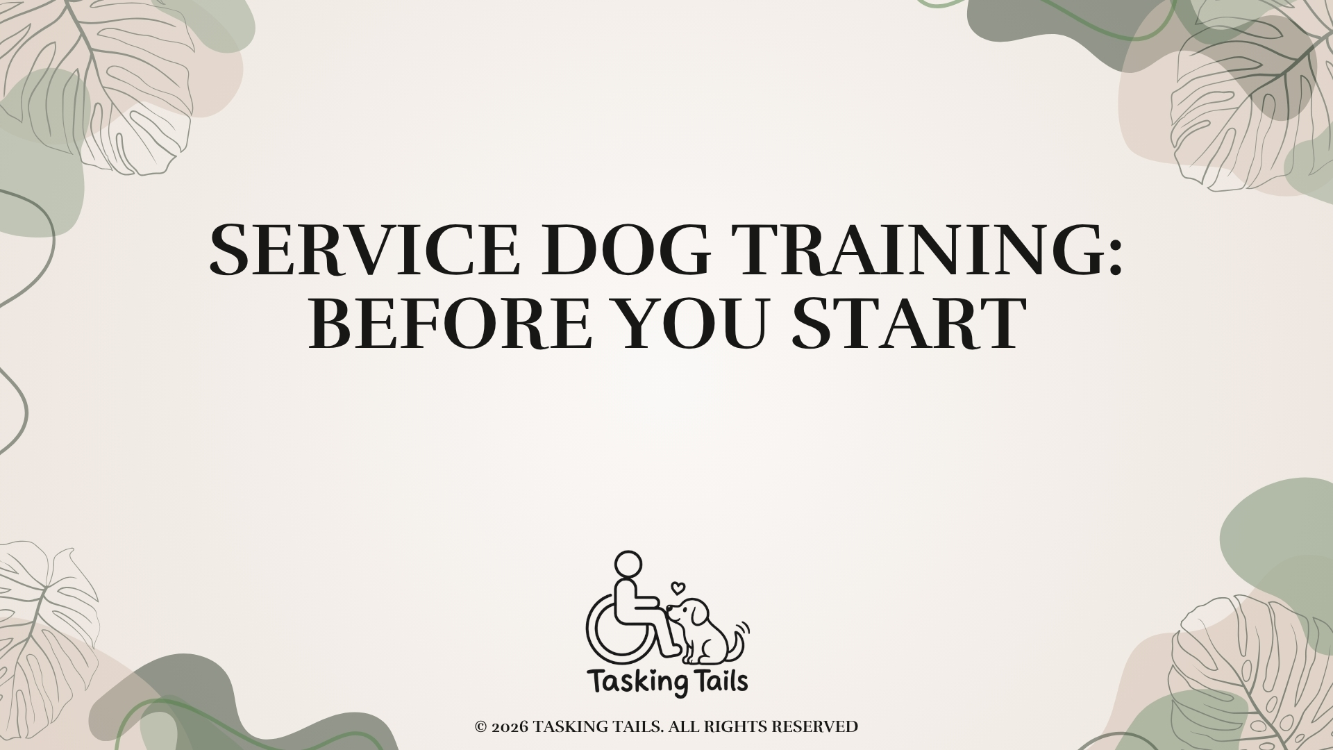 Service Dog Training: Before You Start