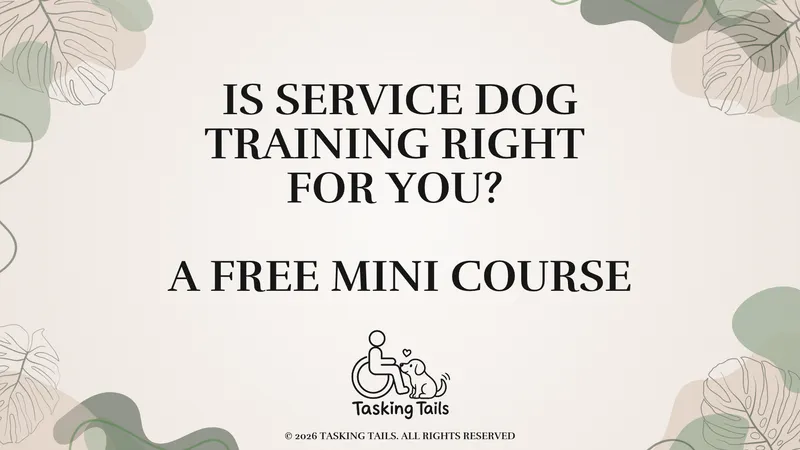 Is Service Dog Training Right for You? A Free Mini Course