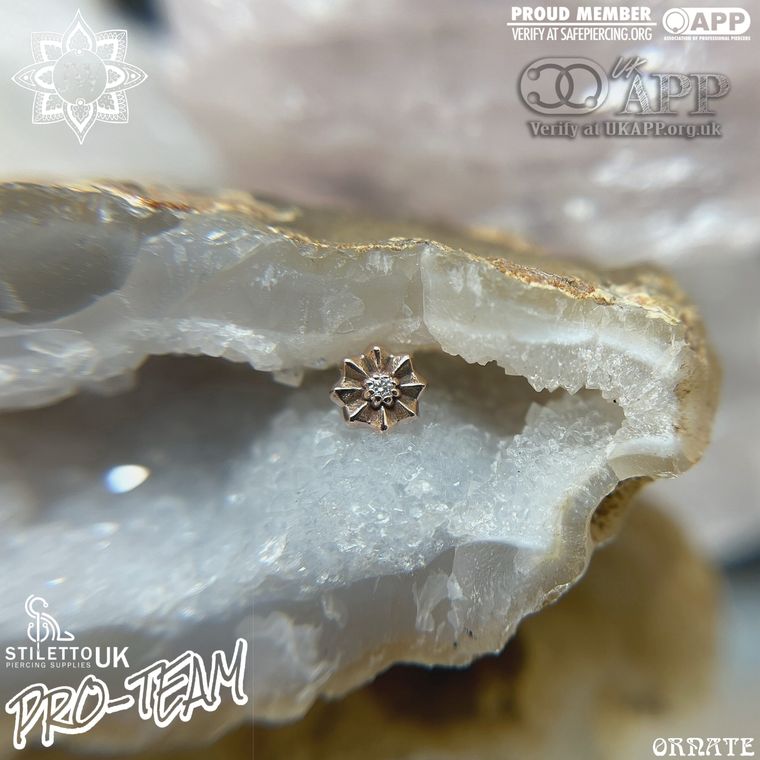 Sacred Symbols - 14k Rose Gold & CZ Rosette