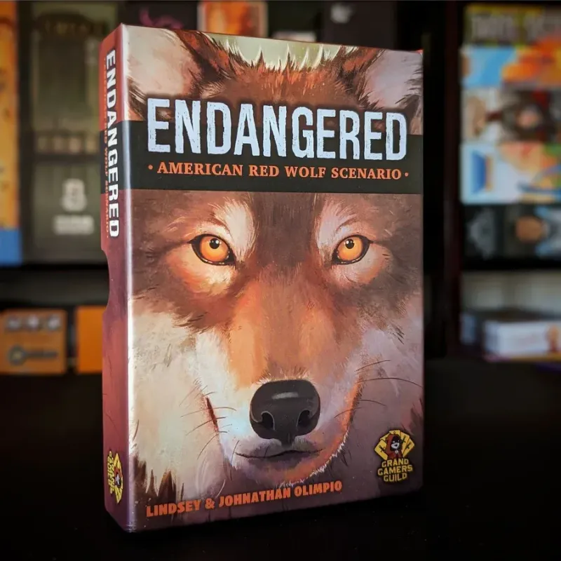Endangered: American Red Wolf