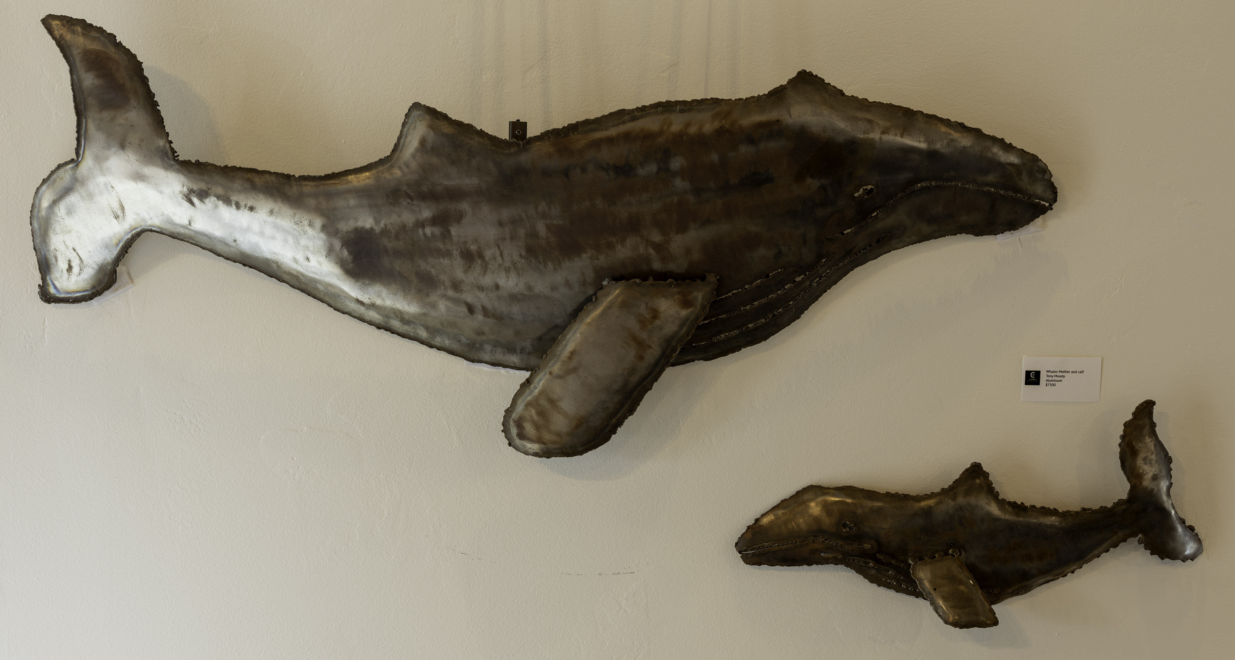 Whales Mother and Calf