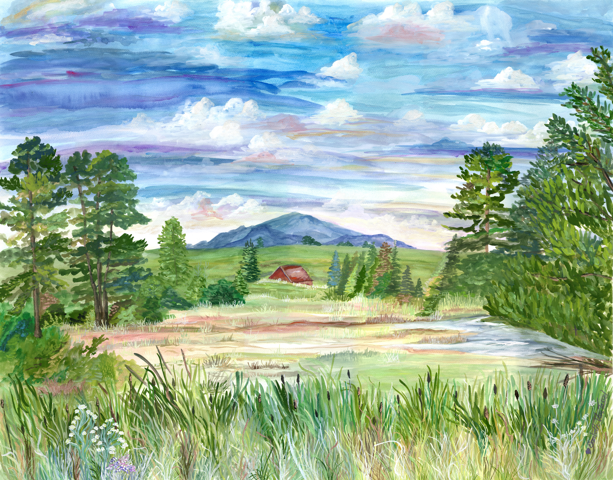 Morning Glory at River Ranch