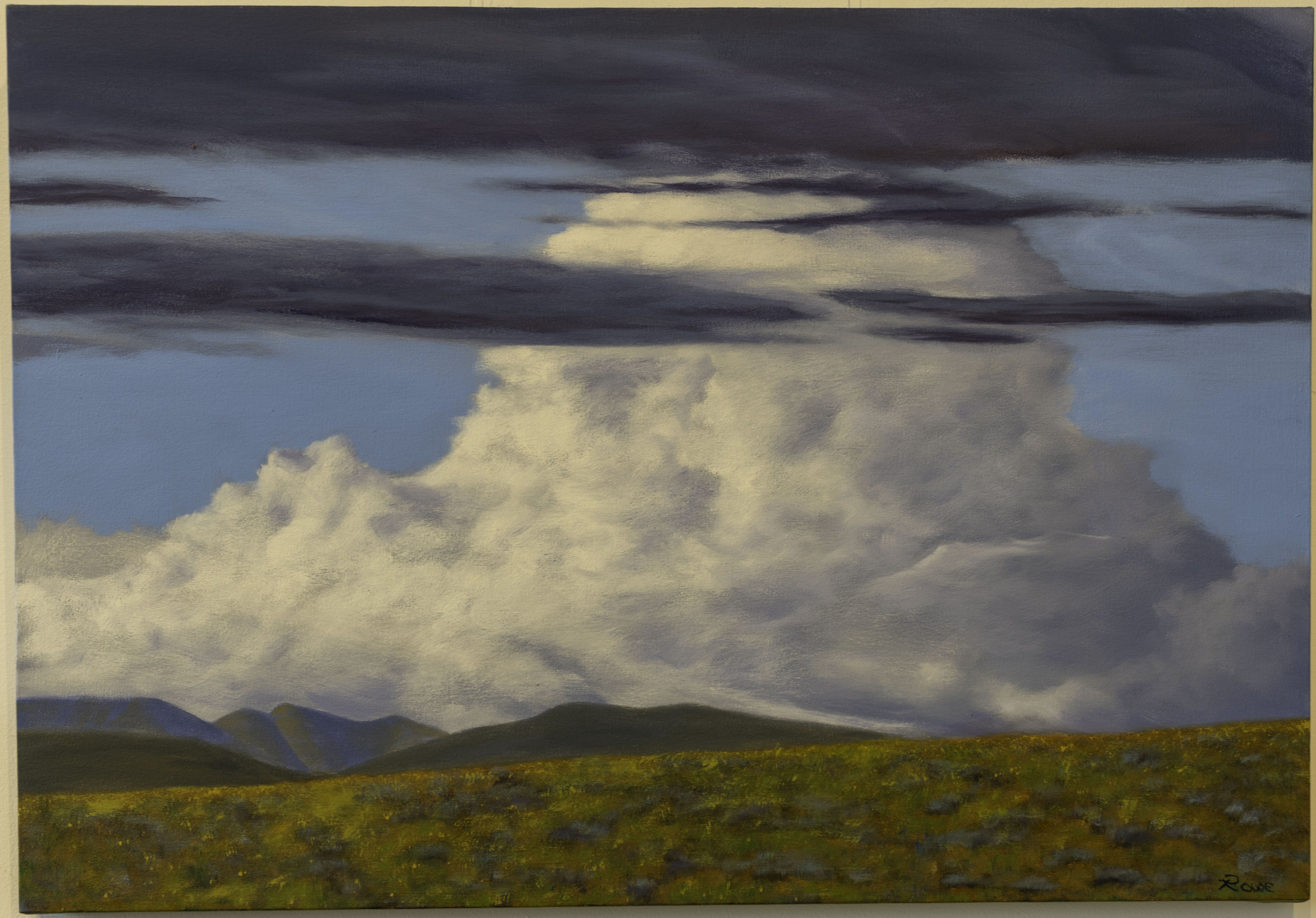 A Tail of Two Skies