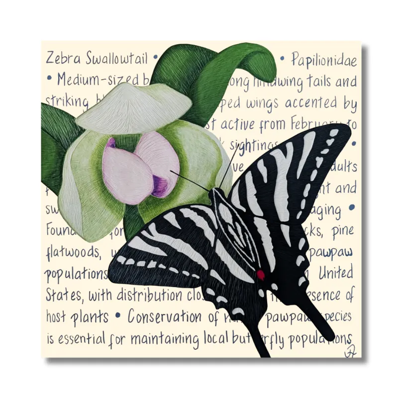 Zebra Swallowtail Original