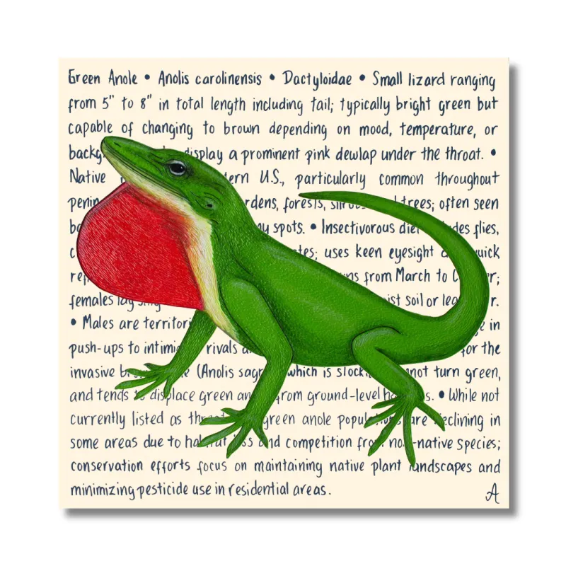 Green Anole Original