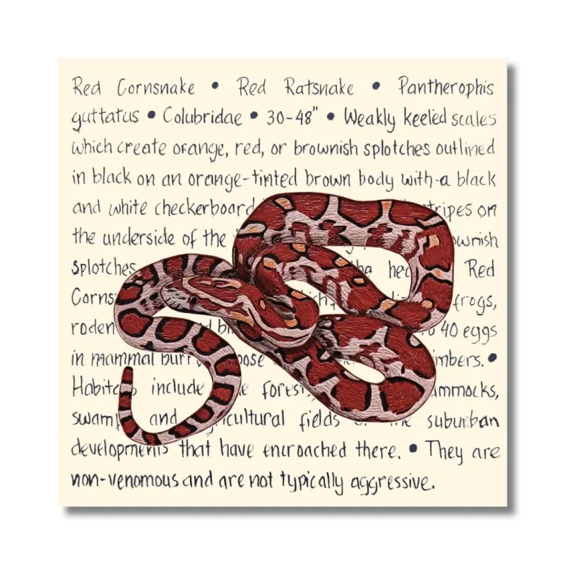 Red Cornsnake Original