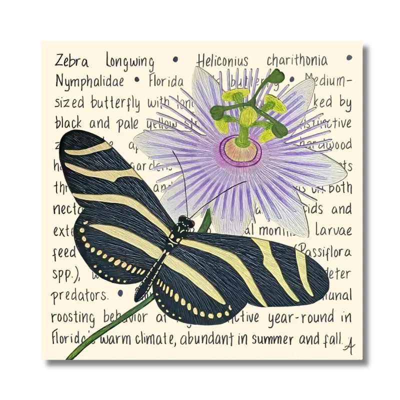 Zebra Longwing Original