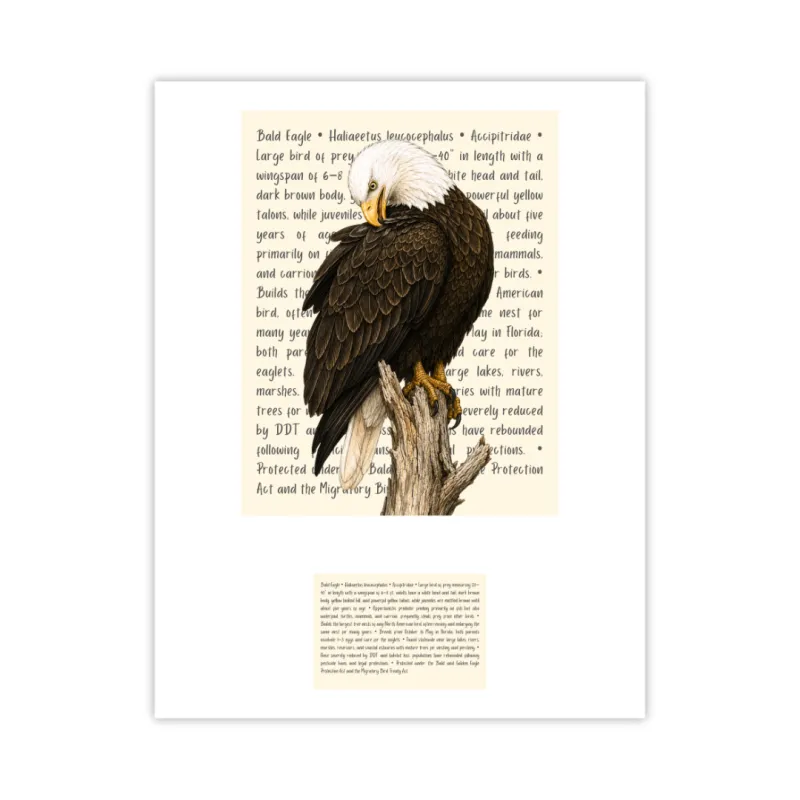 Bald Eagle Signature Proof