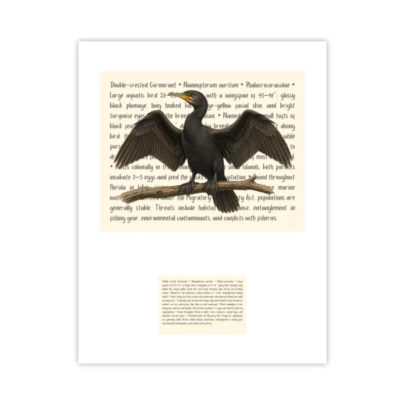 Double-crested Cormorant Signature Proof