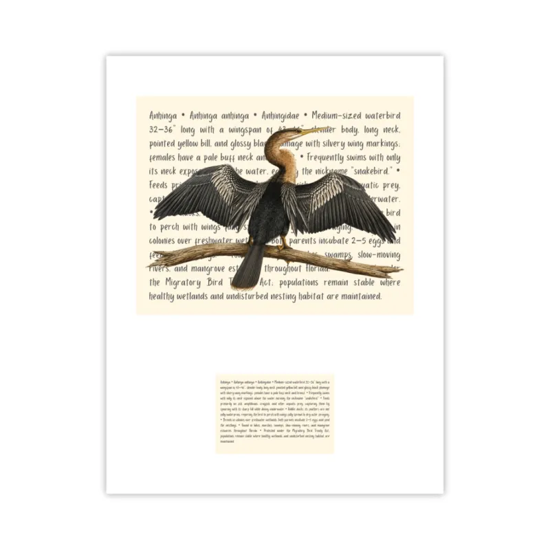 Anhinga Signature Proof