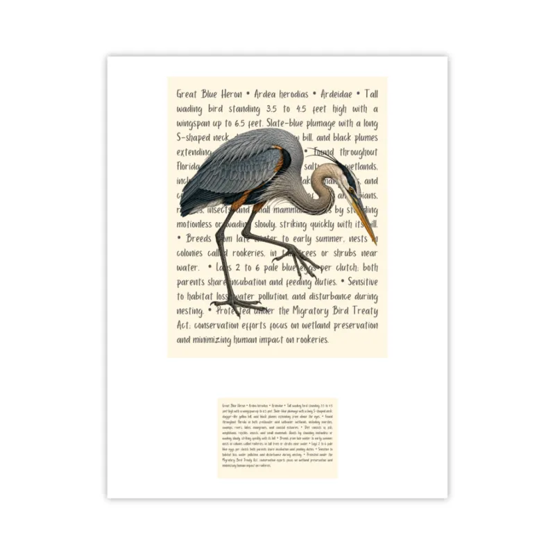 Great Blue Heron Signature Proof