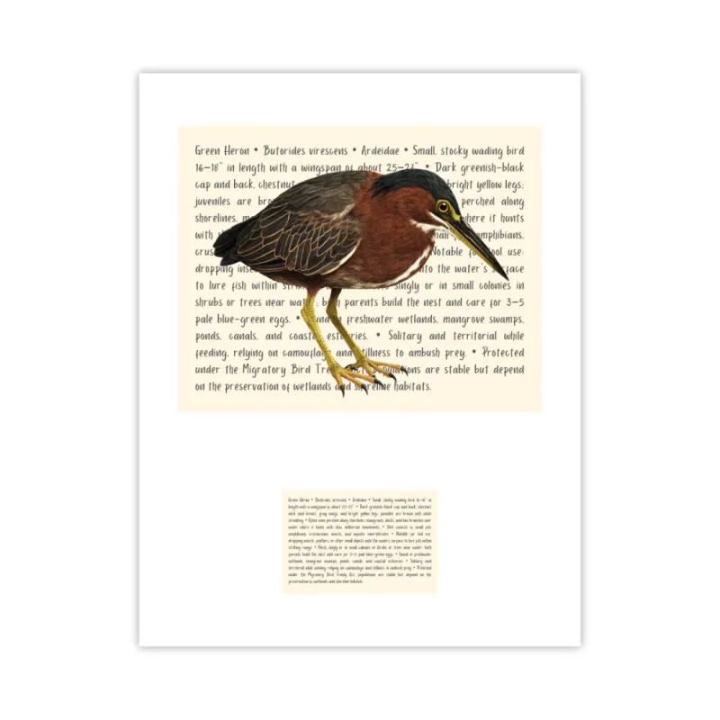 Green Heron Signature Proof