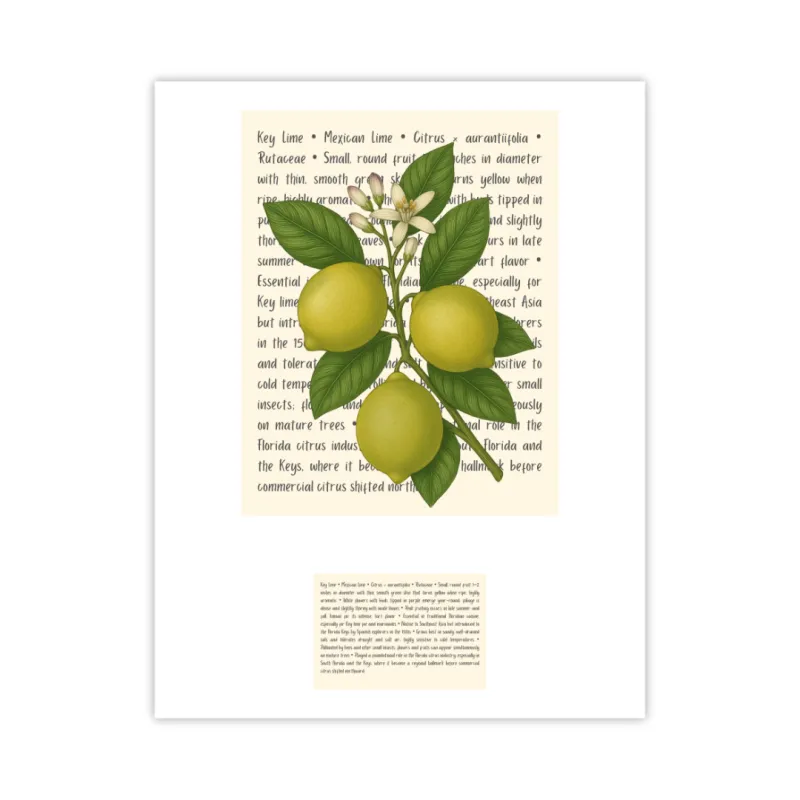 Key Lime Signature Proof