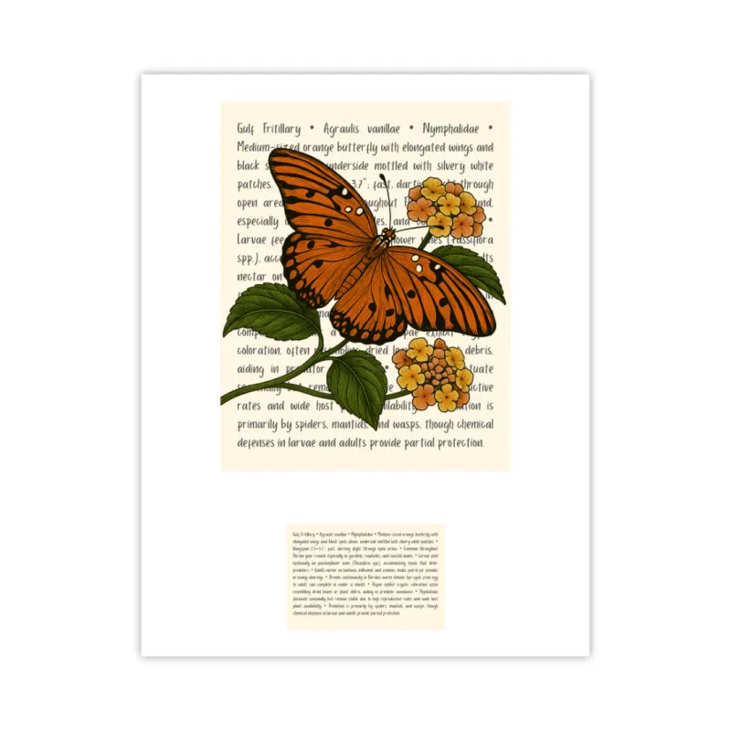 Gulf Fritillary Signature Proof