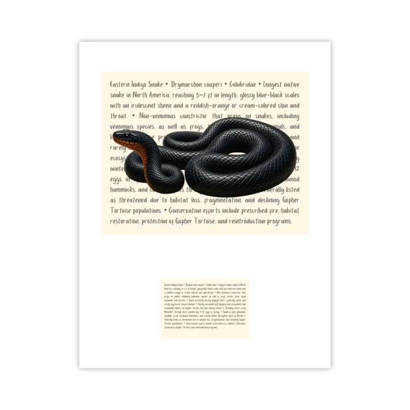 Eastern Indigo Snake Live Wildly Signature Proof