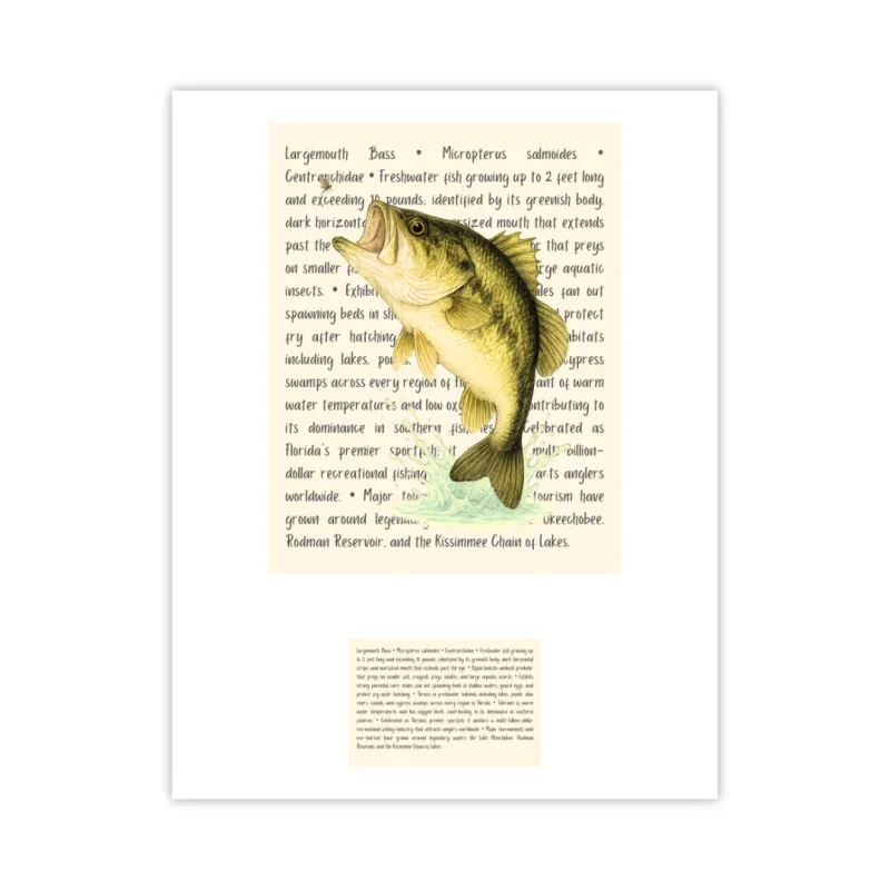 Largemouth Bass Signature Proof